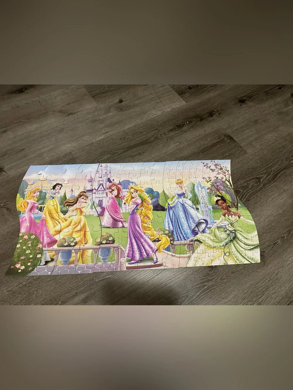 Disney Princess 3 in 1 Panoramic Puzzle (3 Puzzles in 1) - 172 Pieces